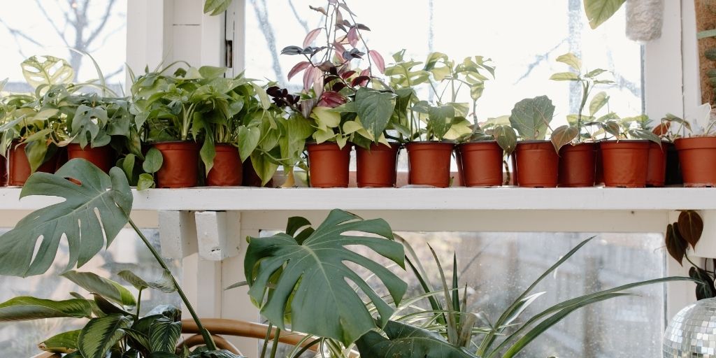 4 Creative Ways to Bring Nature into Your Home